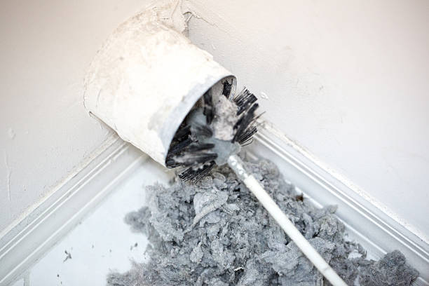 Best Air Duct Cleaning Company Near Me  in Urbana, MD